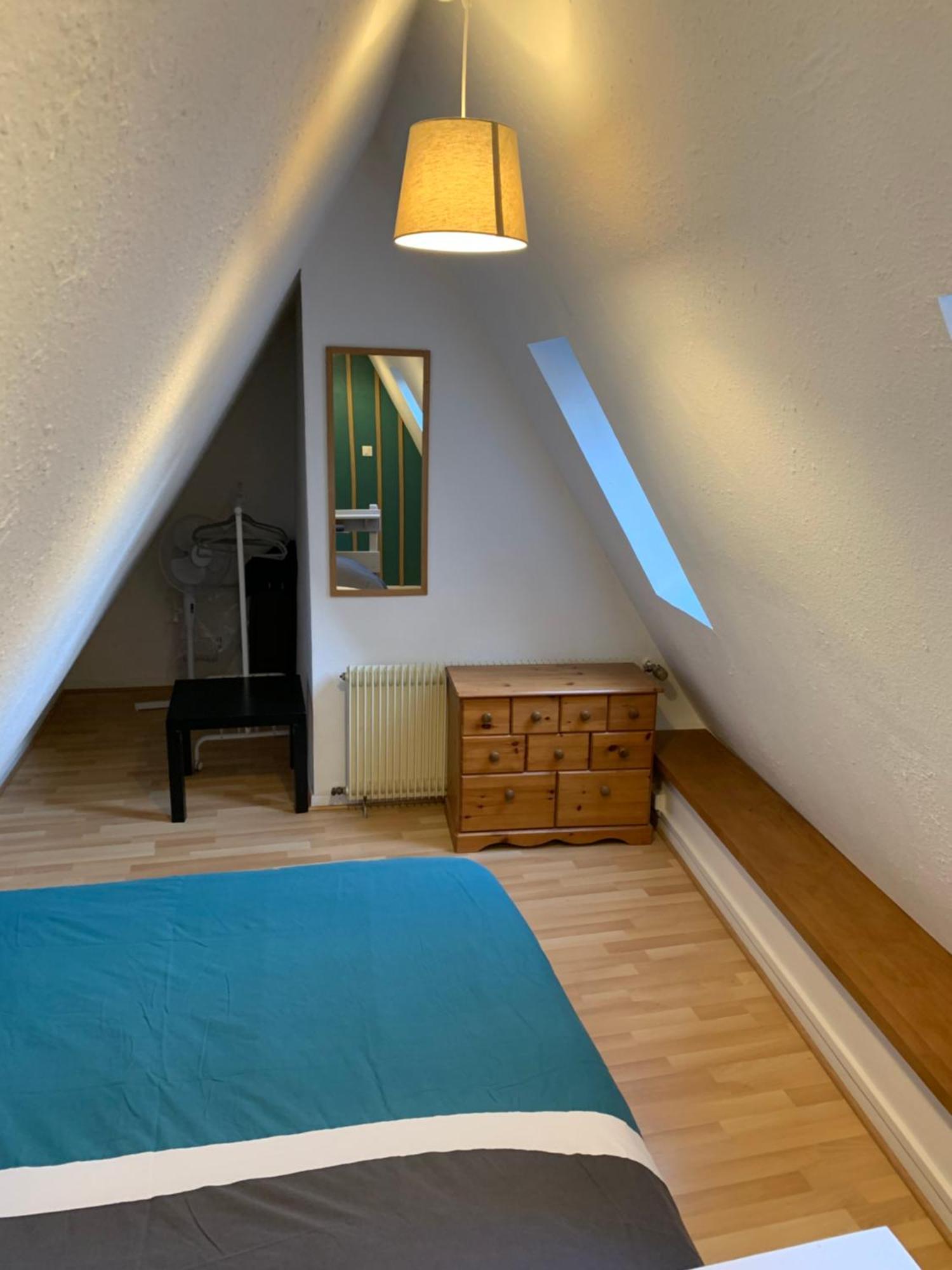 Appartement Duplex 2A Rue D'Alspach コルマール エクステリア 写真