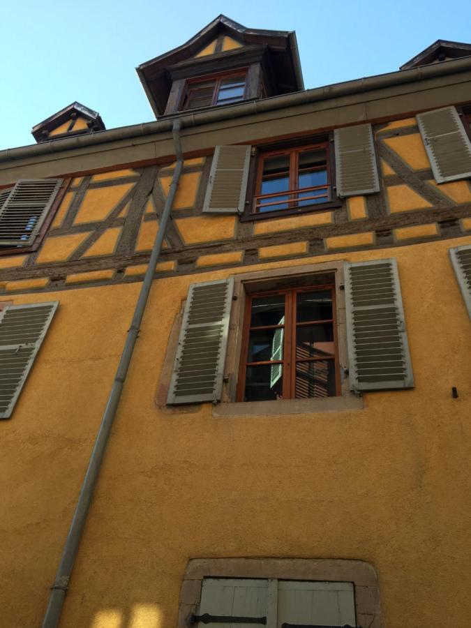 Appartement Duplex 2A Rue D'Alspach コルマール エクステリア 写真